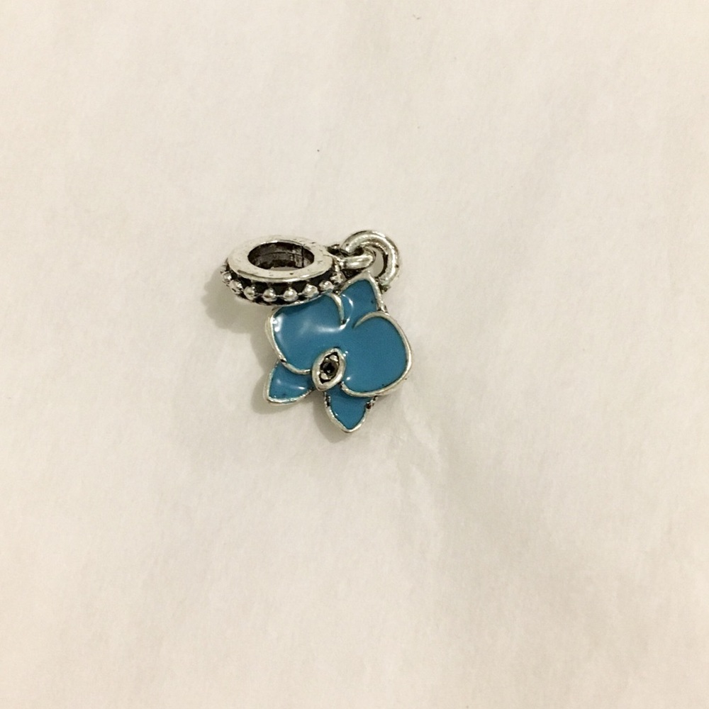 Imitation Pandora charm
